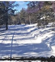 Grooming In Park Rapids