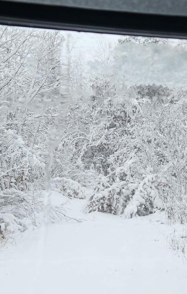 Trail Conditions